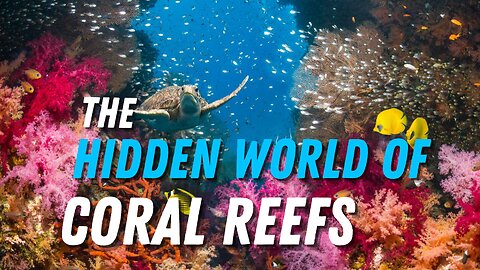 The Hidden World of Coral Reefs.