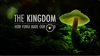 Fungal Empire