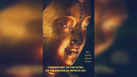Commentary on the Larger Sutra: Section 7 - The 48 Vows of Amida Buddha