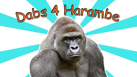 HARAMBE Has A WEED STRAIN on theFeed!