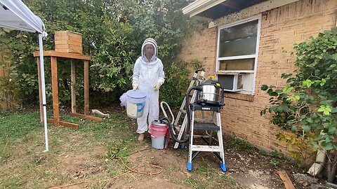 Roberts bee rescue…. Using the vacuum.