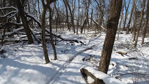 Putting Around in the Snow