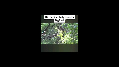 kid accidentally recorded bigfoot
