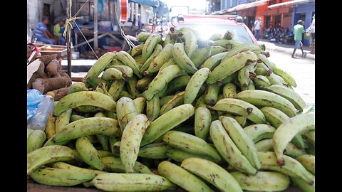 Se reduce la venta del plátano en el mercado de Bazurto