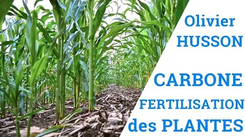 Carbone et Fertilisation des Plantes - Olivier HUSSON