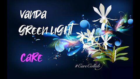 Christnetia Green Light | Vanda Green Light | Care in Leca & Self Watering #CareCollab