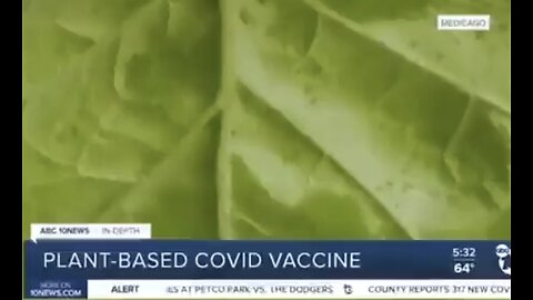 PLANT-BASED COVID Vaccines?