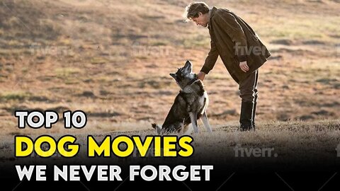 TOP 10 DOG MOVIES WE NEVER FORGET