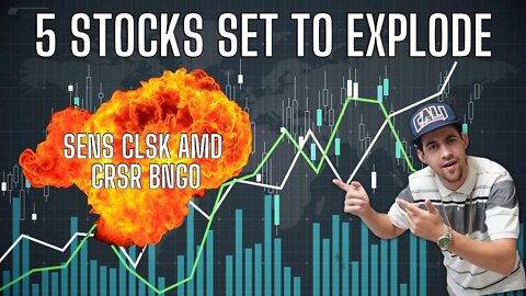 5 Stocks To Buy Now Crsr Clsk Amd Sens Bngo Stock