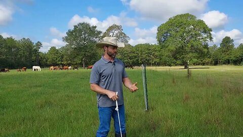 Pasture Renovation Revisited - What Were the Results?