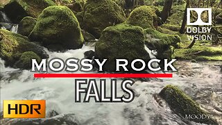 Dolby Vision HDR Nature Video - Mesmerizing Mossyrock Rainforest Falls - Ecoing Heartflow