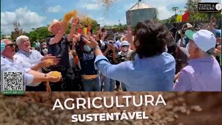 FT Sementes participa do Evento de Início da colheita da soja no Piauí