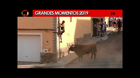 🌟 EPICOS MOMENTOS de 2019 🌟 | ¡No te pierdas la TERCERA PARTE!