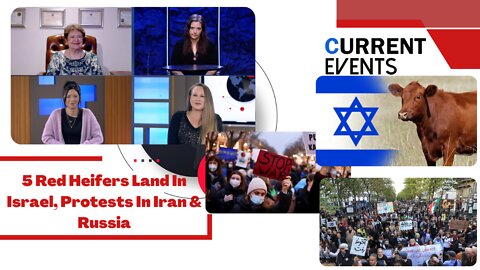 Current Events: 5 Red Heifers Land In Israel, Protests In Iran & Russia