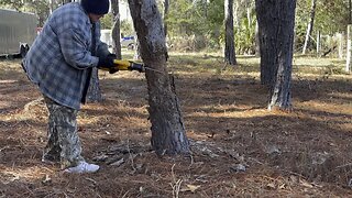 Felling a tree with a sawzall