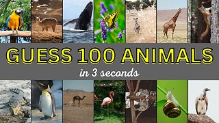 Can You Guess The Animal In 3 Seconds? | Ultimate Animal Guessing Game | What Is This Animal Name?