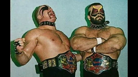 Ultimate Tag Teams - Hawk & Animal, The Road Warriors - Volume #2