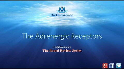 The Adrenergic Receptors Explained