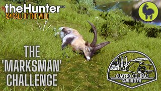 The "Marksman" Challenge, Cuatro Colinas | theHunter: Call of the Wild (PS5 4K)