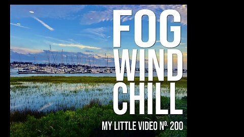MY LITTLE VIDEO NO. 200-FOG, WIND AND CHILL