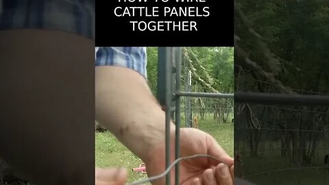 OLD FARMER HACK How to Wire Cattle Panels Together