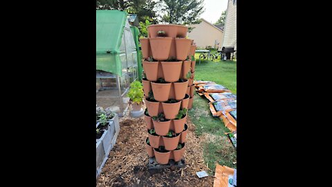 Setting Up & Planting the Greenstalk Leaf Planter