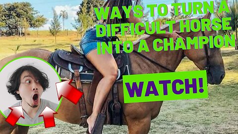 Ways to turn a difficult horse into a champion