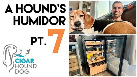A Hound's Humidor Pt. 7 - Cigar Humidor Tour