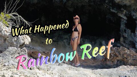 SDA39 What Happened to Rainbow Reef?