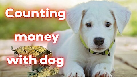 The dog helps to count money | Counting money with dog