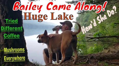 Hike to 2nd Lake at Weiser Forest District Roaring Creek Tract. Dog Bailey's First Video Appearance