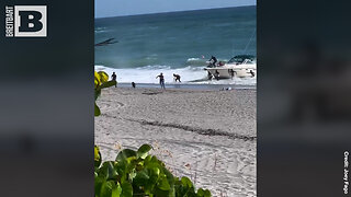 VIDEO: Over a Dozen Migrants ARRESTED After Rushing the Beach in Florida's Palm Beach County