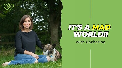 Its a Mad World! Catherine's Update