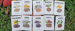 Medicinal Garden Kit – BRAND NEW!