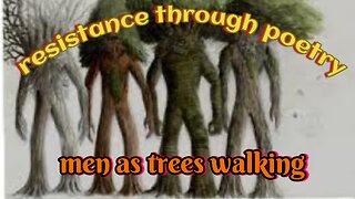 men as trees walking