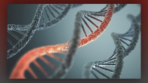 Reincarnation OR Memories Locked in Your DNA