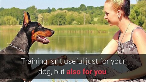 Learn to Train your Dog ! - with these easy essential commands