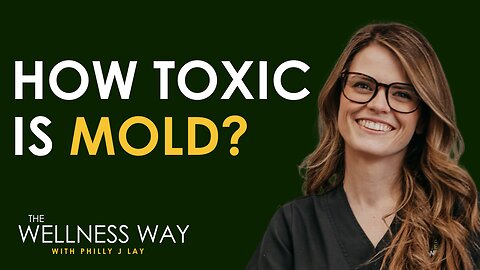 The Wellness Way - Dr. Kaytlin Westerberg - How Toxic Is Mold?