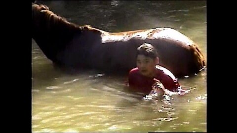 Boy And His Horse Cooling Off In Creek