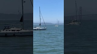 Sailboats in San Francisco #boating