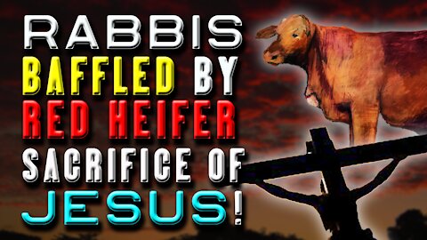 BEAUTIFUL! How the Red Heifer Points to Jesus' Three Ascensions | JPDWeekly 24