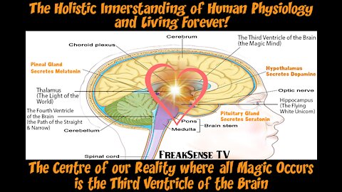 Charlie Freak on the Holistic Innerstanding of Human Physiology,