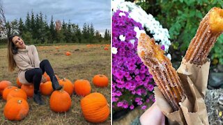 You Can Get Apple Cinnamon Churros At An Adorable Ontario Pumpkin Patch This Fall