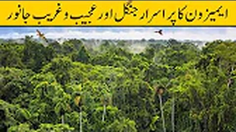 Wonders of Amazon Jungle _ Urdu_Hindi(720P_HD)