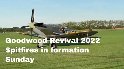Goodwood Revival 2022 - Spitfires at 8am on the Sunday
