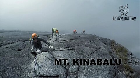 ONE OF THE HARDEST HIKES I'VE DONE! (Mt. Kinabalu via Ferrata, Sabah, Malaysia)