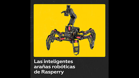 Araña robot de la compañía Raspberry es tendencia en la Red