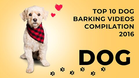 TOP 10 dog barking videos compilation 2016 ♥ Dog barking sound - Funny dogs