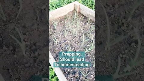 Prepping Should Lead to Homesteading. #FYIR