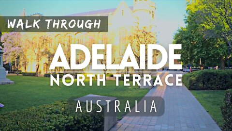 Sunny Afternoon Walk Through North Terrace (Adelaide) - South Australia | 2022